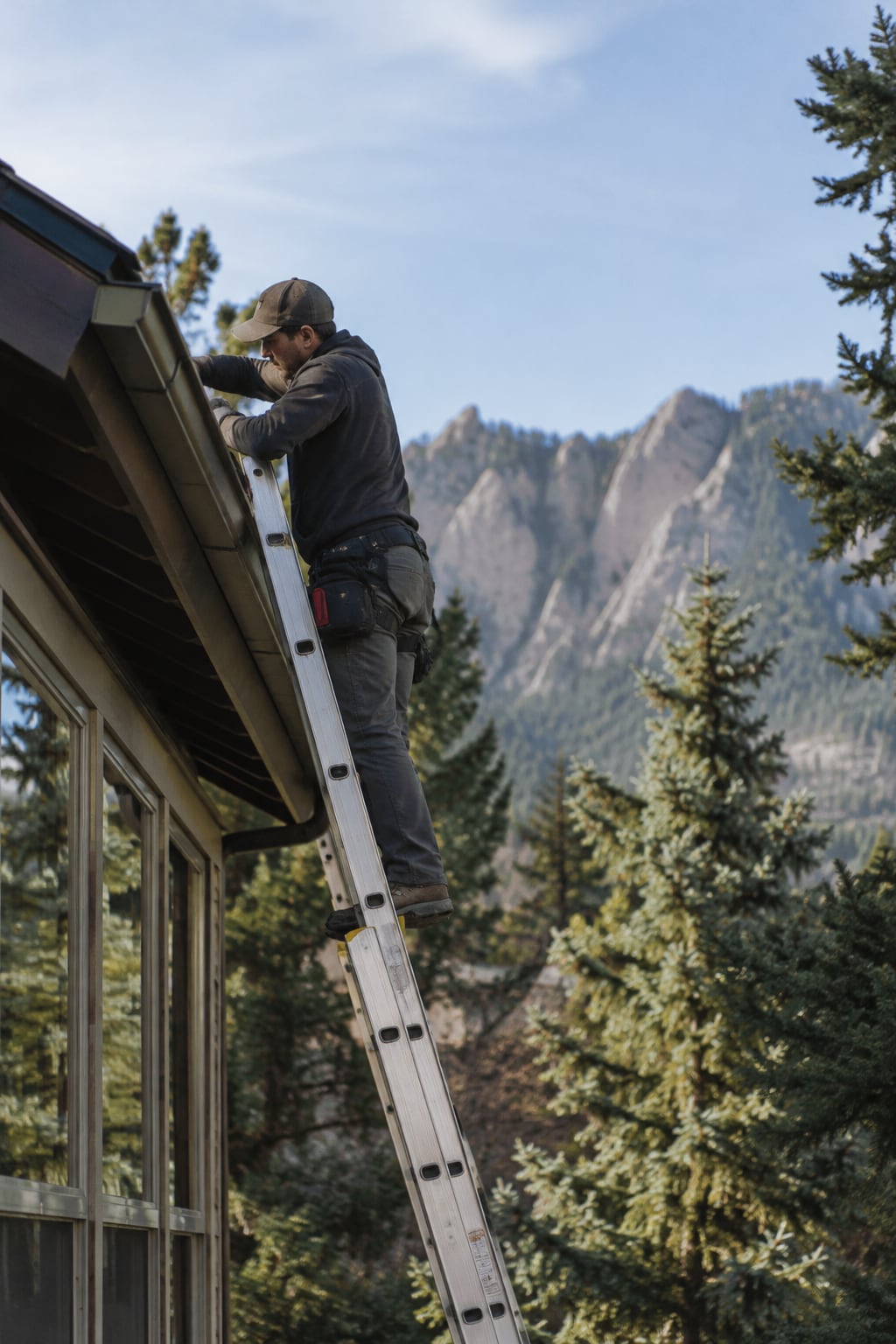 A ladder against a pitched roofline with spruce trees behind