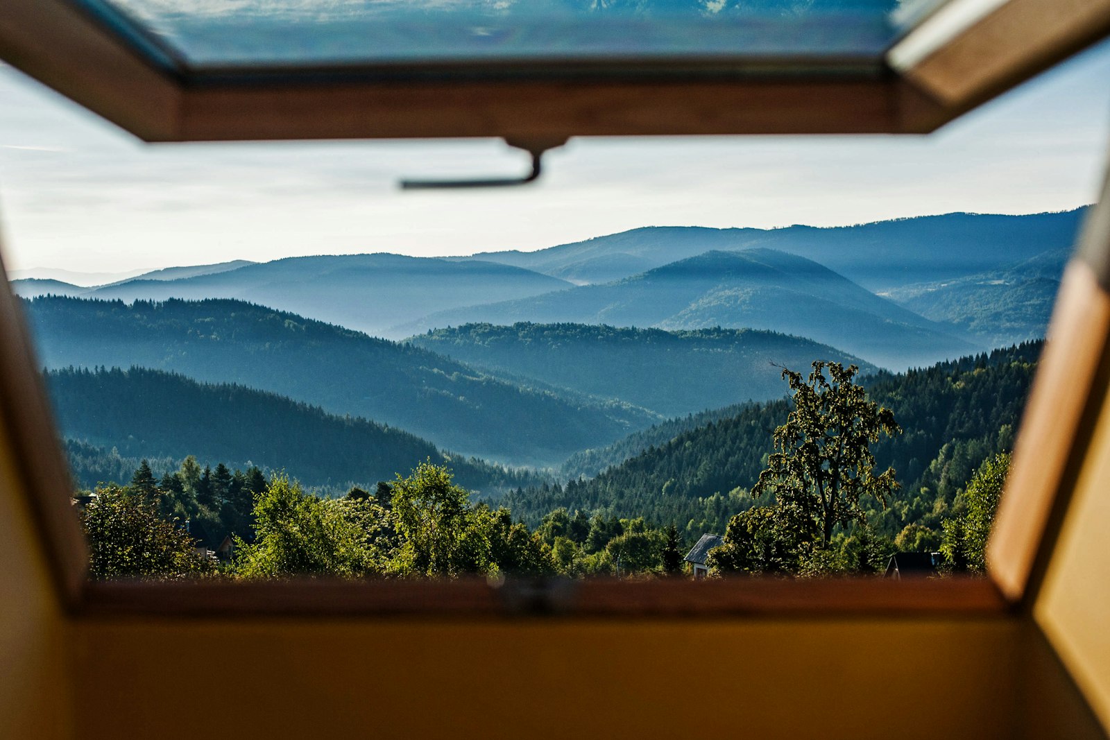A sunlit kitchen window, spotless, looking out at the Colorado foothills